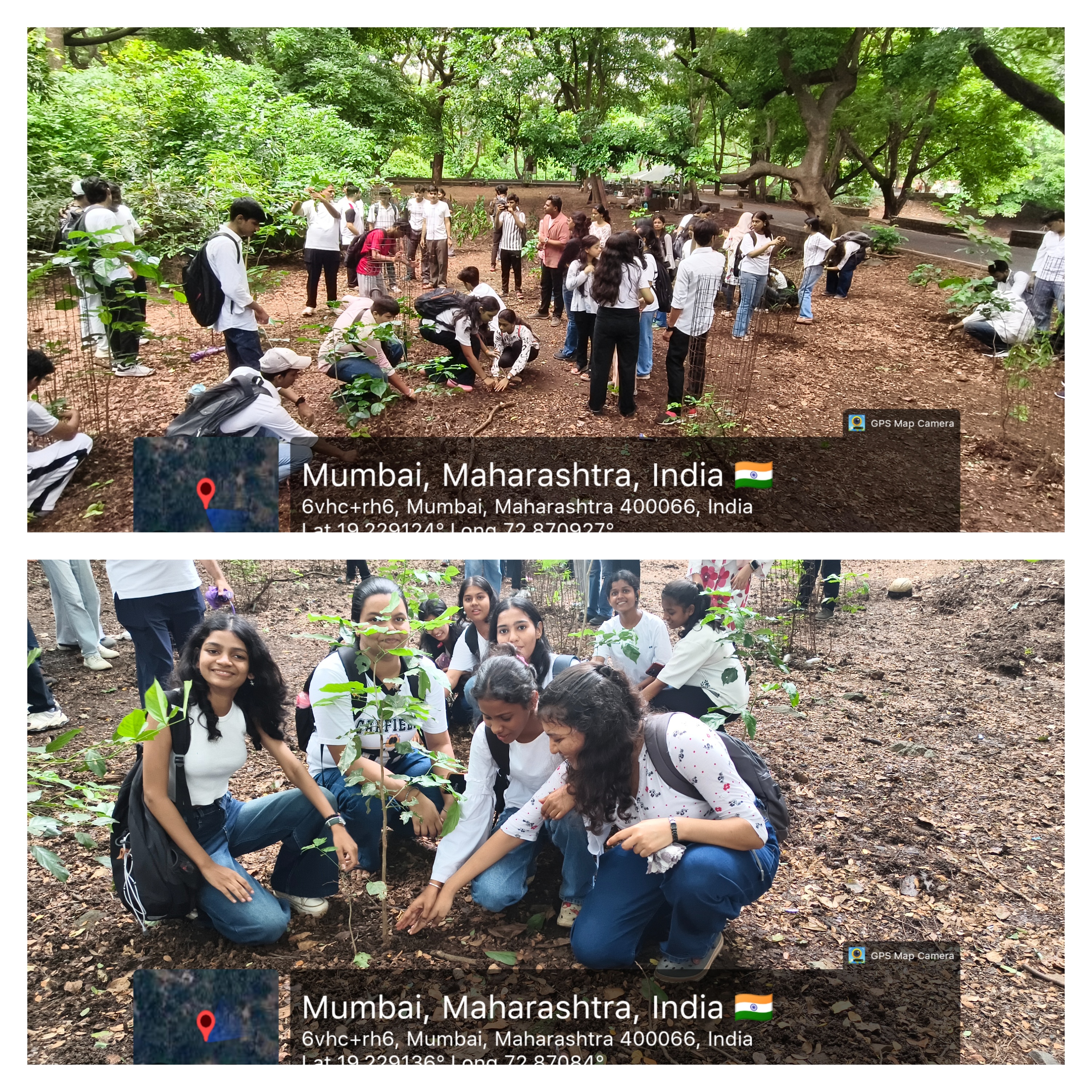Tree Plantation Drive 2026